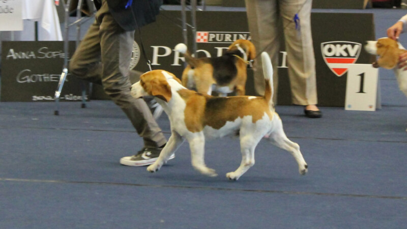 IMG_4736 IMG_4736
